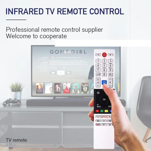 Boulton CT-8541 CT8541 Remote Control for Toshiba 1