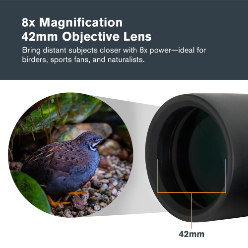 Celestron Celestron 71346 8 x 42 Outland X Binocular, Black 2