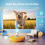 [Built-in Apps & Auto Keystone] AKIYO O2 Projector 4