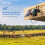 Xega 4G LTE Cellular Security Camera Solar With SI 2