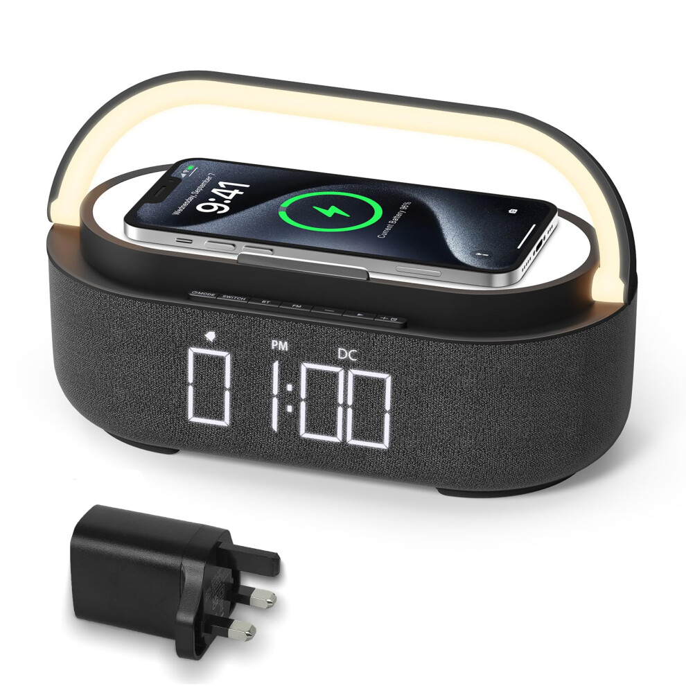 Colsur Bluetooth Speaker With Radio, 15W Fast Wire 35808787