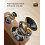 Qlearsoul SoulBox S1 Vinyl Record Player with Ster 4