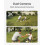 eufy Security Floodlight Camera E340 Dual Cameras 3