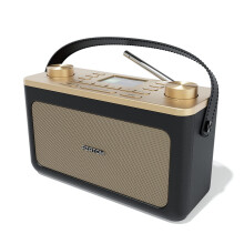 DAB/DAB+ & FM Portable Digital Radio | Leather Des