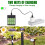 CICMOD AA Rechargeable Solar Light Batteries 4 Pac 3