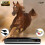 HD DVD Player for TV, Multi Region DVD Player for 4