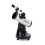Celestron Celestron 21023 Cometron 76mm Firstscope, White 5