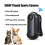 Mini Thumb Action Camera 120 Wide Angle Lens 1080 6