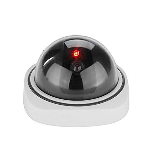 BW Indoor/Outdoor Dummy Camera, Dummy Dome CCTV Ca