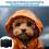 GPS Tracker for Vehicles Work with Built-in APP (C 6