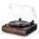 Record Player, 3 Speed Bluetooth Turntable with Bu 1