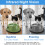 Mini Hidden Spy Camera Wireless 1080P Full HD with 4