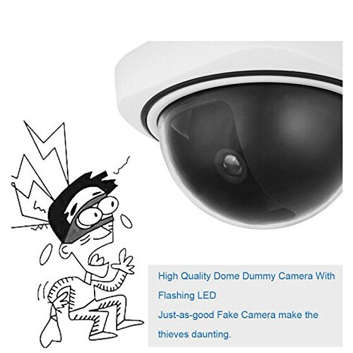 BW Indoor/Outdoor Dummy Camera, Dummy Dome CCTV Ca 1