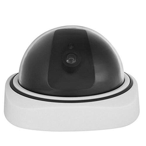 BW Indoor/Outdoor Dummy Camera, Dummy Dome CCTV Ca 2
