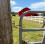 Instant Locking Gate Latch 6
