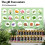 MAYJAM 20 Pcs Pure Essential Oil Gift Set, Essential Oils for Diffusers for Home, Aromatherapy Oils for Diffuser, Humidifiers, Gif 2