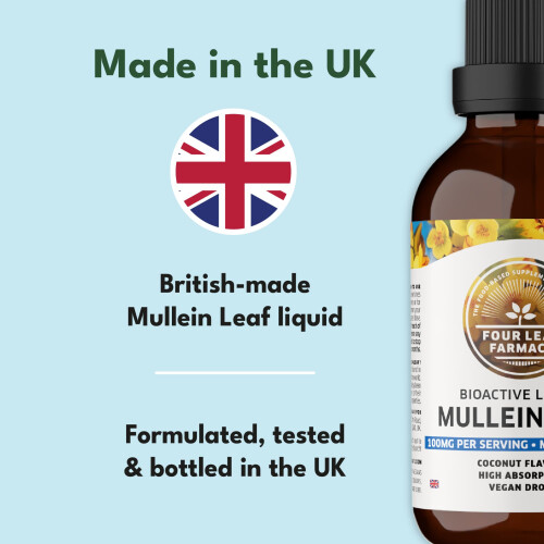 Mullein Leaf Extract for Lungs - Made in UK - High Strength Liquid Mullein Leaf - Mullein Leaf Drops 2