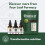 Mullein Leaf Extract for Lungs - Made in UK - High Strength Liquid Mullein Leaf - Mullein Leaf Drops 7