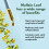 Mullein Leaf Extract for Lungs - Made in UK - High Strength Liquid Mullein Leaf - Mullein Leaf Drops 5