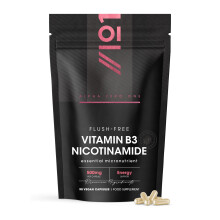 Vitamin B3 Nicotinamide (Niacinamide) 500mg – No-Flush Niacinamide – 90 Vegan Capsules - Resealable and Recyclable Pouch by Alpha0