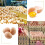 Egg Crate 30 Cell Large Capacity Stackable Reusable Pulp Fiber Egg Cartons for Chicken Eggs 3