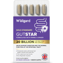Wellgard Gutstar Probiotics - 16 Strain Probiotics for Gut Health with Fennel and Ginger, Vegan, UK Made