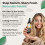 Lumi Outdoors Natural Shoe Deodorizer Spray 3 Pack Bundle - Lemon Eucalpyuts, Citrus Tea Tree, Lavender Tea Tree 3
