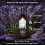 Lumi Outdoors Natural Shoe Deodorizer Spray 3 Pack Bundle - Lemon Eucalpyuts, Citrus Tea Tree, Lavender Tea Tree 7
