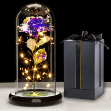 Touloube Galaxy Rose for Her, Light Up Rose Flowers, Artificial Flower Rose Gift for Women Mom Wife Lover Daughter, Rose Flower in Glass Dome Present