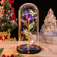 Beferr Gifts for Mum,Christmas Rechargeable Rainbow Light Up Rose in A Glass Dome,Birthday Gifts for Women Mom Wife Grandma Girlfriend,Crystal Flower