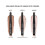 Bobbi Brown BBr LW Cr Shad St 04 Golden Pink 5