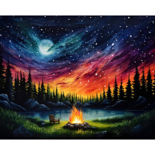 Viart Starry Sky Paint by Numbers for Adults-Forest Painting by Numbers for Adults,Landscape Paint by Number Kits for Home Wall Decor 16x20inch
