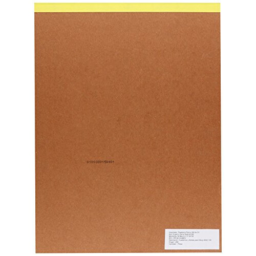 Strathmore Bristol Vellum Paper Pad 9"X12"-20 Sheets 1