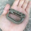 Tactical Locking D Ring Carabiner Secure Locking Hook System For Molle Gear Fast Attachments And Tactical Equipment Quick Release Button Multi Purpose 4