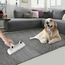 Hundehaarentferner Z