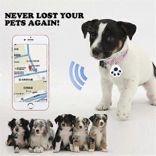 GPS Tracker για Γάτα - GPS Tracker για Κατοικίδιο - GPS Tracker για Σκύλους 1