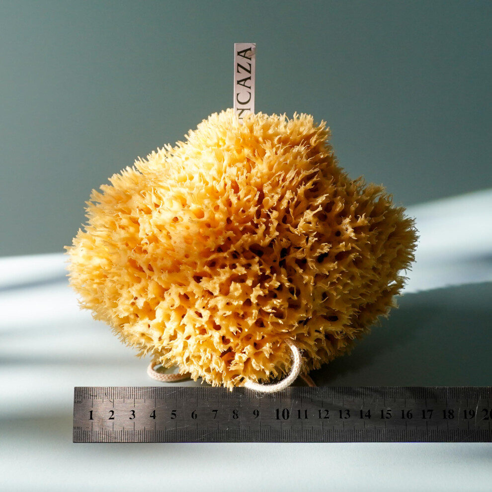 Ezo.home Large 16Cm Sea Sponge Unbleached Honeycomb Natural Seasponge For Bath Use, Or Art And Painting Use (L Size Approx 14-16Cm)