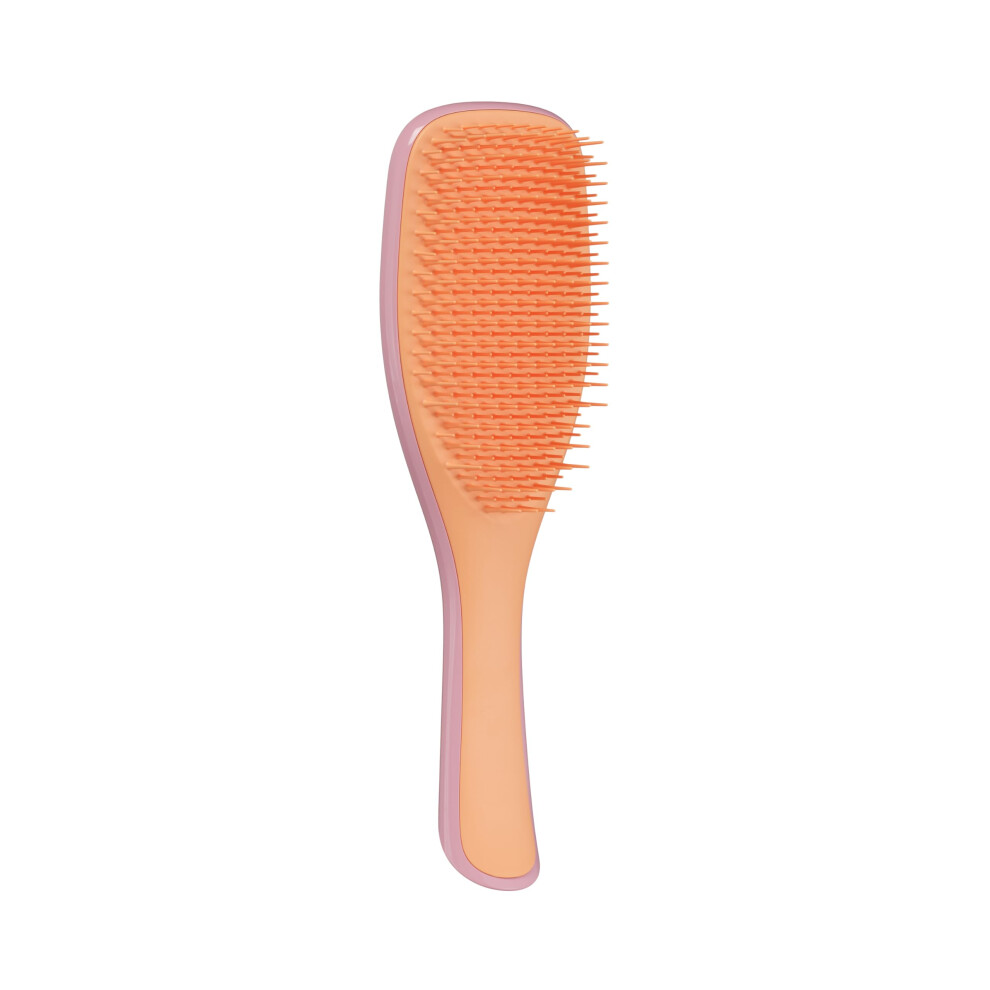 Tangle Teezer Ultimate Detangler Hairbrush - For Wet & Dry Hair - Detangling Brush For All Hair Types - Two-Tiered Teeth Reduce Breakage & Eliminate