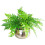 Leaf Leaf Large Curved Edge Hammered Metal Bowl, Silver, 32 x 20 cm 2