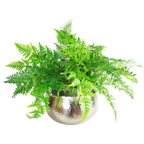 Leaf Leaf Large Curved Edge Hammered Metal Bowl, Silver, 32 x 20 cm 1