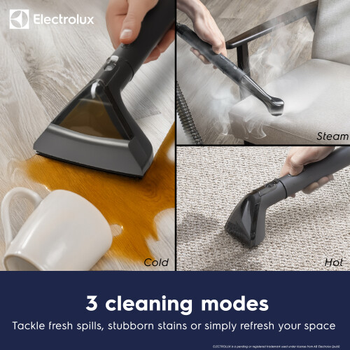 Electrolux Electrolux FLR00213ELGRY Spot Cleaner Grey 2
