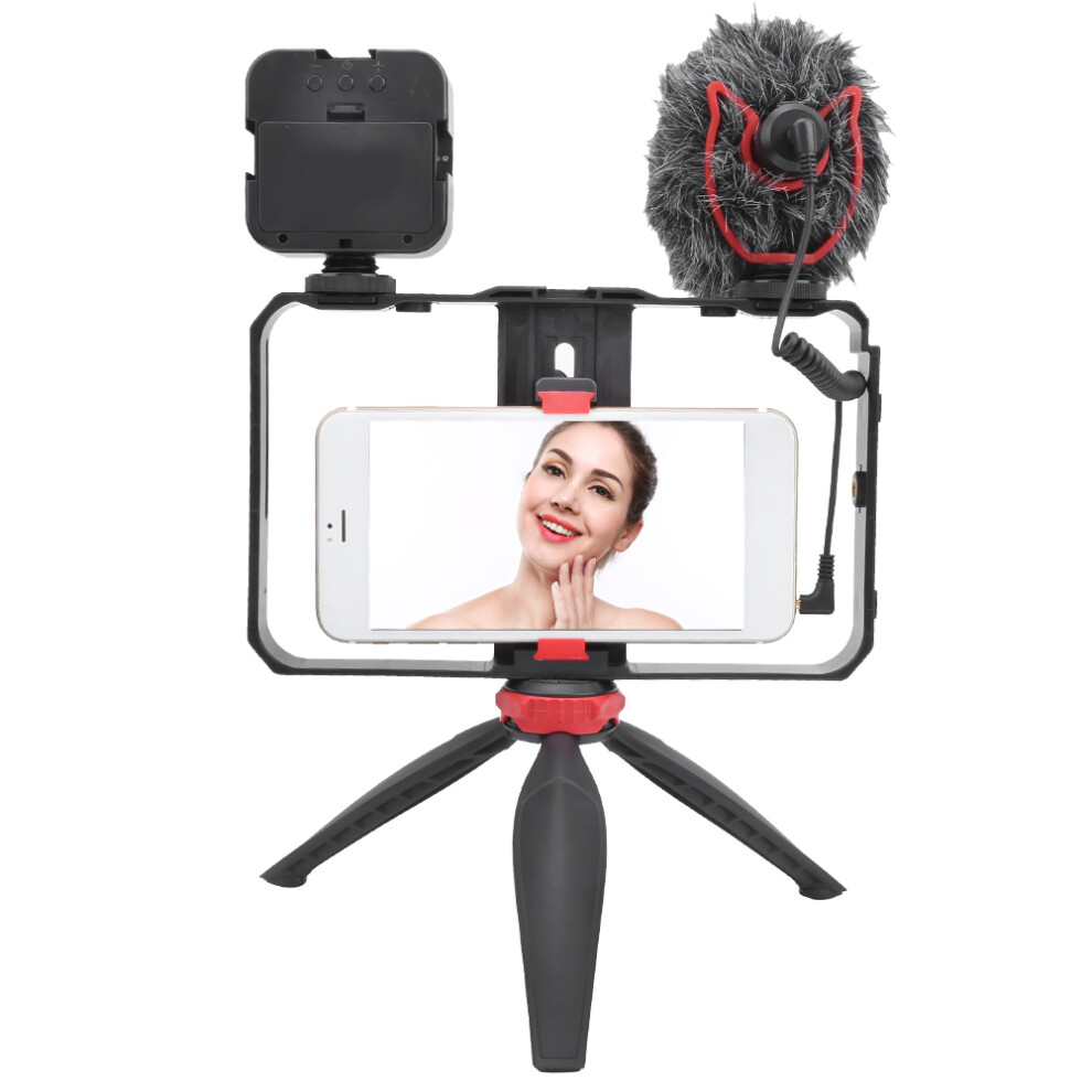 Vlog Live Mobile Phone Gimbal Kit With 49Led Fill & Microphone, Light/Black 4951379665870