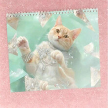 (1pcs) Cat Calendar 2026, Funny Showcat Wall Calendar 2026, Cute Animal Monthly Planner Wall Decor, Cat Lovers Gift, Christmas Gifts