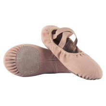 Latin Dance Shoes Soft Suede Sole Elastic Cloth for Women Girls Ballet Training Brown 40