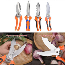 (Standard) Special Scissors for Garlic Steel Garlic Beard Cut Green Onion Beard Gingers Scissors Soft Handle Garlic Shears Multicolor