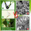 60pcs Plastic Clips Suitable For Outdoor Plant Training Gentle 3