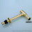 Brass Bottle Trap Brushed Gold Basin Waste Kit LeakProof Adjustable Height RustResistant 3