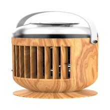 Ventilateur de refroidissement pour climatiseur portable
