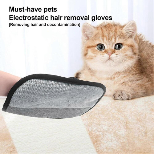 Gants pour l'épilation électrostatique des chatons 2