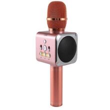 Microfon muzical wireless Bluetooth portabil mini acasă Ktv pentru redarea muzicii și cântatul difuzorului